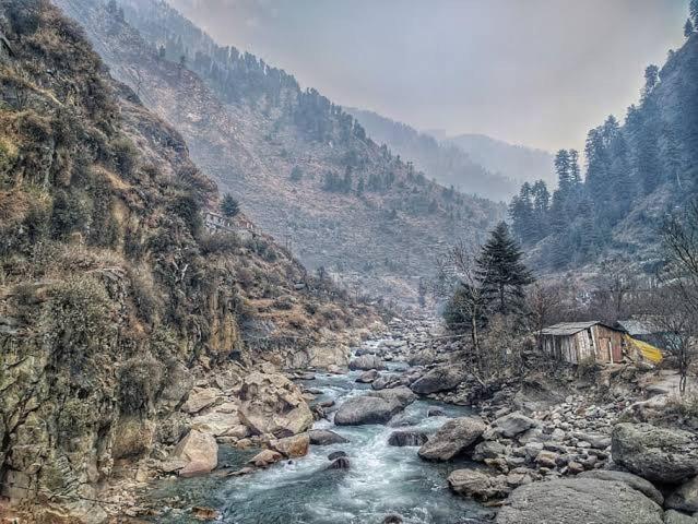 Mystic Forest View Kasauli I Serviced Villa I Best Seller I Vacations I Family Events I Open Air Lawn I Sky Bonfire I Kasauli By Exotic Stays Εξωτερικό φωτογραφία