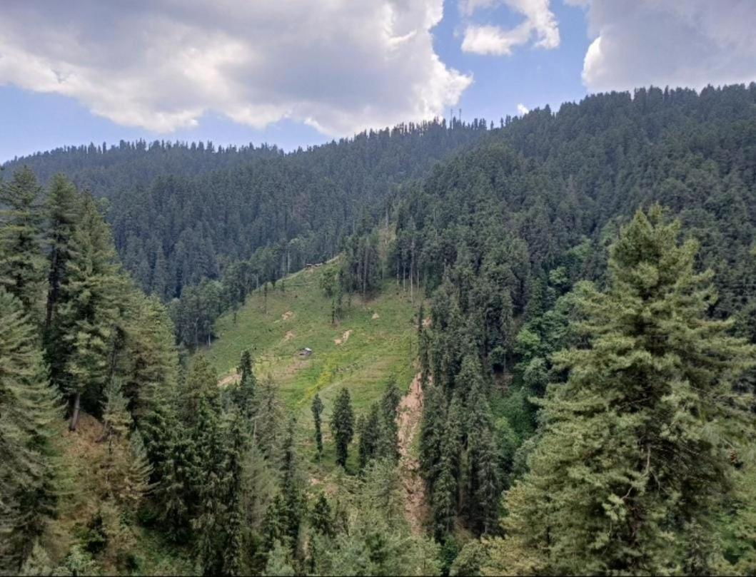 Mystic Forest View Kasauli I Serviced Villa I Best Seller I Vacations I Family Events I Open Air Lawn I Sky Bonfire I Kasauli By Exotic Stays Εξωτερικό φωτογραφία