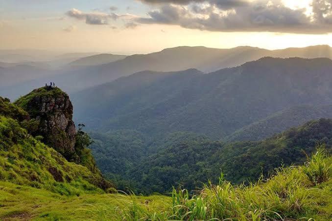 Mystic Forest View Kasauli I Serviced Villa I Best Seller I Vacations I Family Events I Open Air Lawn I Sky Bonfire I Kasauli By Exotic Stays Εξωτερικό φωτογραφία