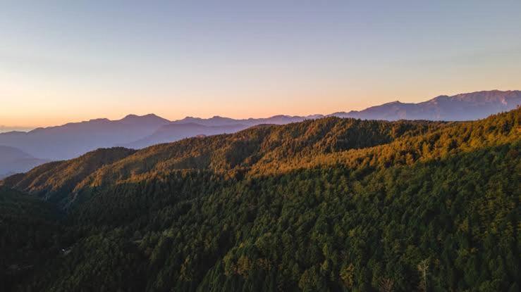 Mystic Forest View Kasauli I Serviced Villa I Best Seller I Vacations I Family Events I Open Air Lawn I Sky Bonfire I Kasauli By Exotic Stays Εξωτερικό φωτογραφία