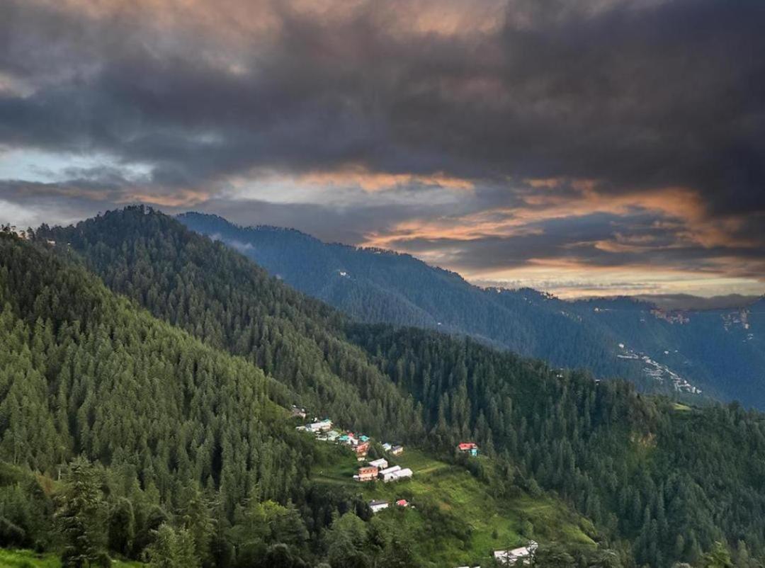 Mystic Forest View Kasauli I Serviced Villa I Best Seller I Vacations I Family Events I Open Air Lawn I Sky Bonfire I Kasauli By Exotic Stays Εξωτερικό φωτογραφία