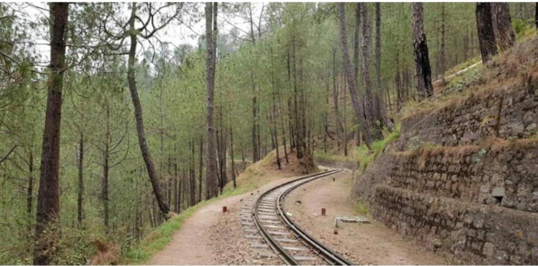 Mystic Forest View Kasauli I Serviced Villa I Best Seller I Vacations I Family Events I Open Air Lawn I Sky Bonfire I Kasauli By Exotic Stays Εξωτερικό φωτογραφία